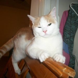 Meet your Posher, Natalia